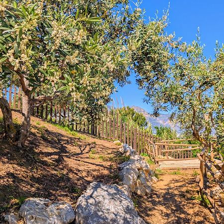 Ci Vulia B&B - Sicilia Sea, Pool, Bbq, Tv, Wi-Fi 阿尔卡莫马里纳 外观 照片