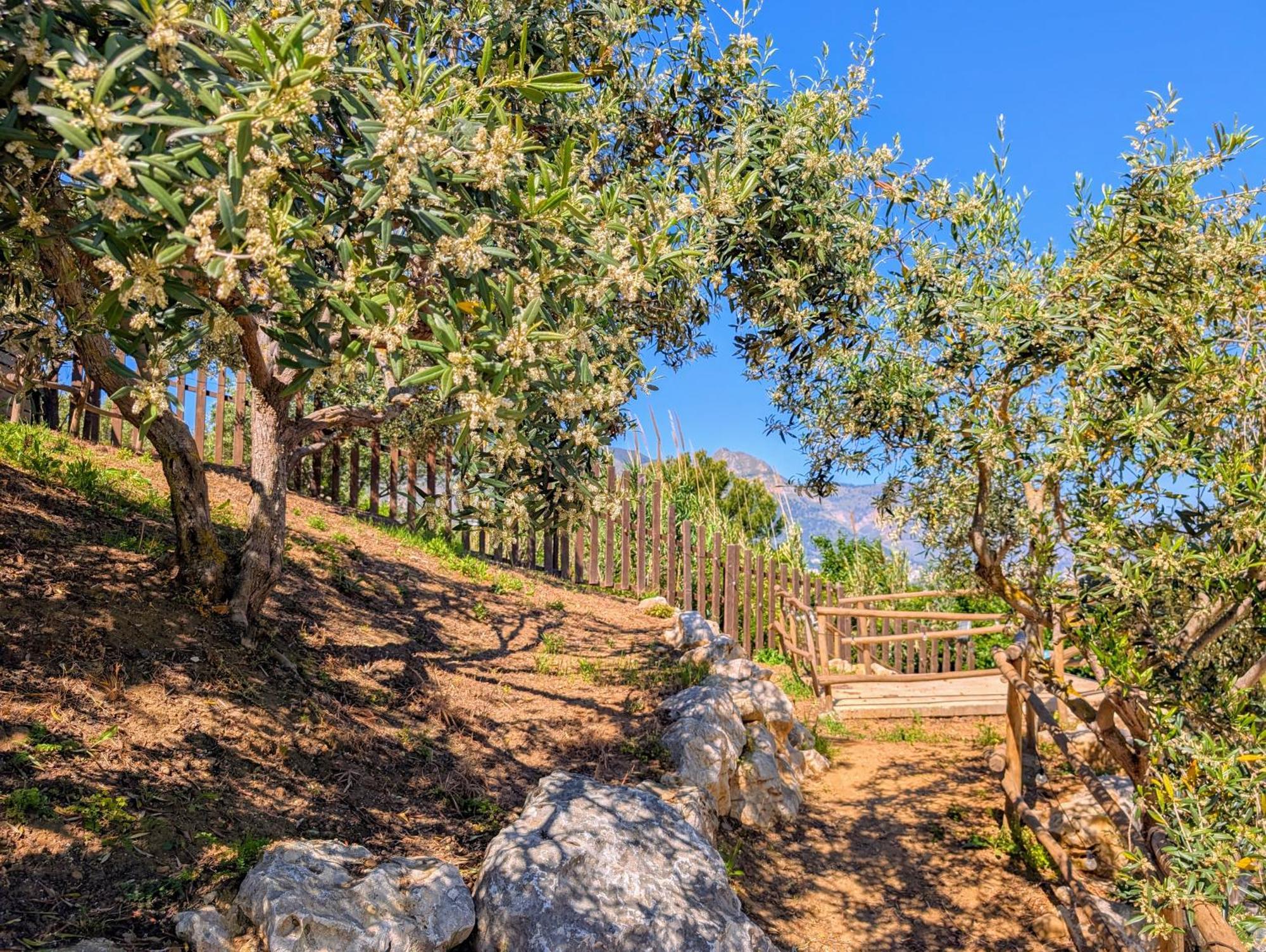 Ci Vulia B&B - Sicilia Sea, Pool, Bbq, Tv, Wi-Fi 阿尔卡莫马里纳 外观 照片